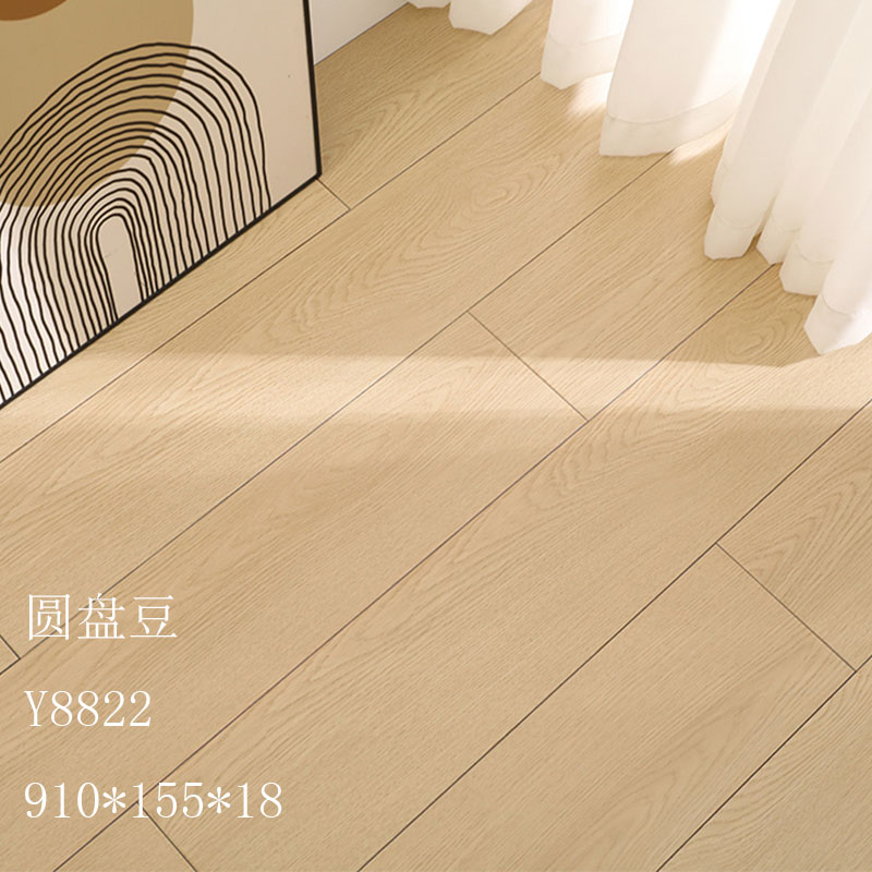 카키 디스크 콩 Y8822