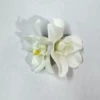Pure white