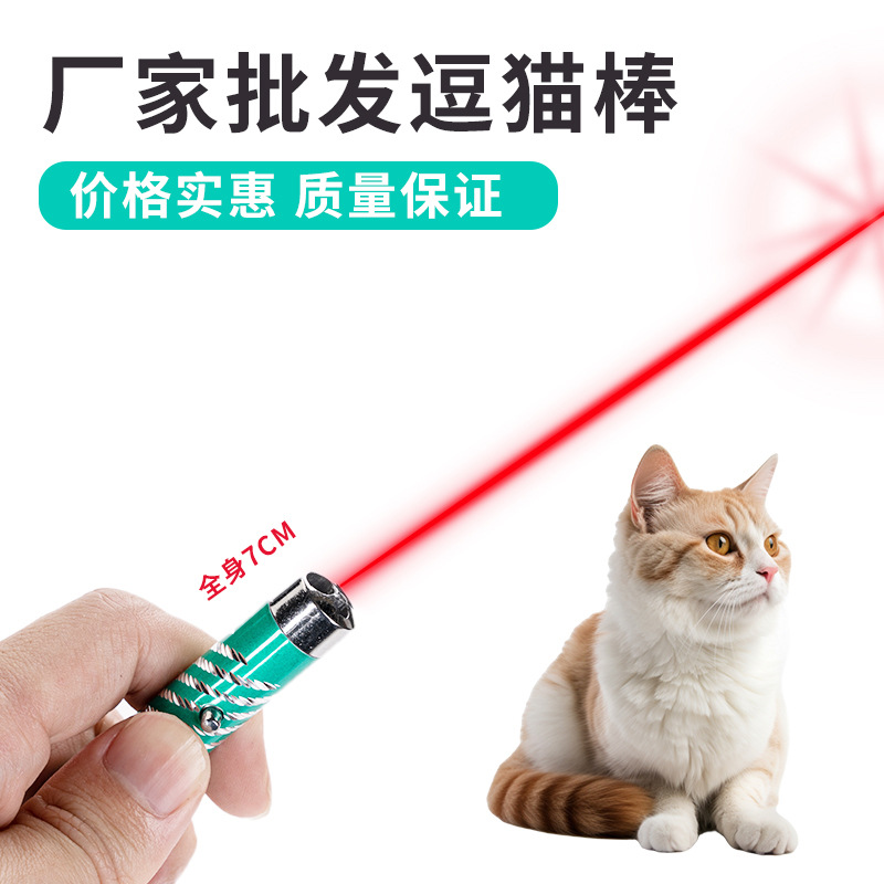 Laser Pointer Infrared Ultraviolet Flashlight Toy Multi-function Money Checking LED Keychain Cats Ordinary