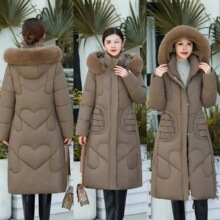 2025Ů�����¿��L���^ϥ�޷���ů�Bñ���º��s�����޷��е��ư��]