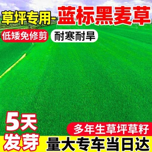 �����ݲ����ļ������ͺ�ͥԺ�G�����޼��������ı��w��ƺ��Ƥ�N��
