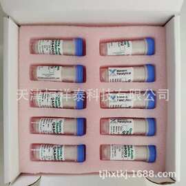 MALVERN-CRM3500 马尔文激光粒度仪标样15-150微米玻璃珠
