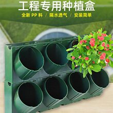 ����ֲ��Nֲ�бڒ�ʽ�������费ֱ�G�����w�����Gֲ�Nֲ�ۻ���