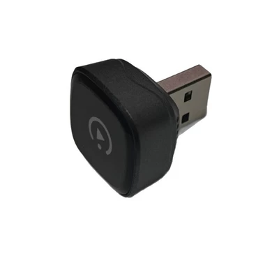 Cross-Border Carplay Box, Other Automotive Communications