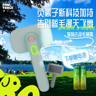 Cross-border New Pet Negative Ion Electric Floating Hair Comb Cat Needle Comb Dog Massage Row Comb Self-cleaning One-button Fade Hair