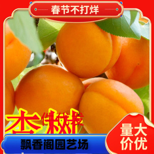 һ�����l�Ә����ش�����������������Ϸ������Nֲ���Ե��Թ�����