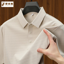 �\���o�۶���POLO�����b25�ļ��¿�����м�ɫ���e����͸��T��1