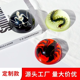 树脂工艺品;标本;工艺礼品项目