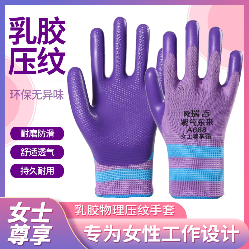 瑞吉女士营养户外营地宠物劳动防护手套物理压纹手套