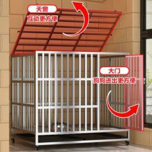 ���Թ̲��P䓹��\̩�Ͻ�ë߅��������������\�������ӴּӺ񹷻\