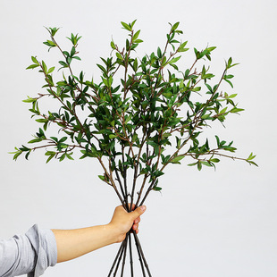 ����ֲ��٘��~�Gʯ���~ʯ���G�����̈@���쾰�҃ȼҾ��b廨