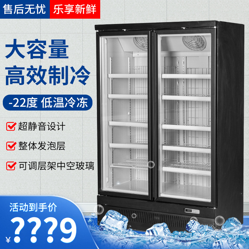 驰雪-22度冷冻展示柜大容量冰淇淋榴莲急冻生鲜肉类冻品风冷冰箱