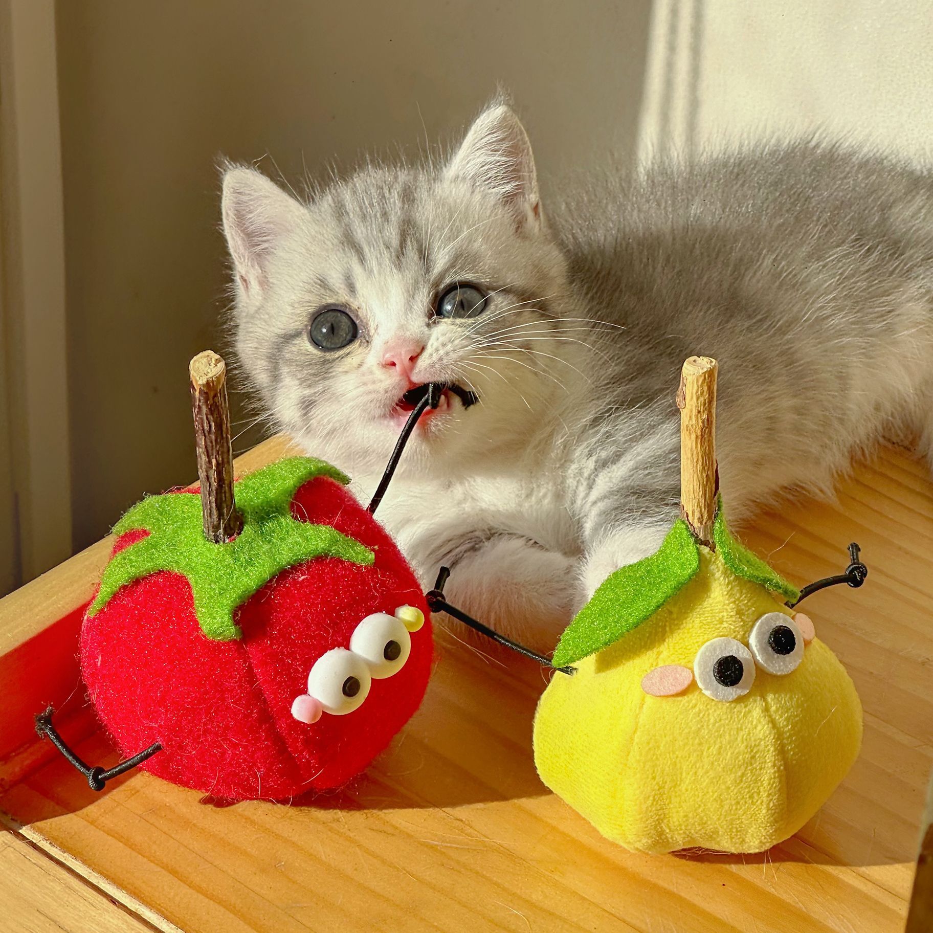 Игрушка-дразнилка для кошек груша