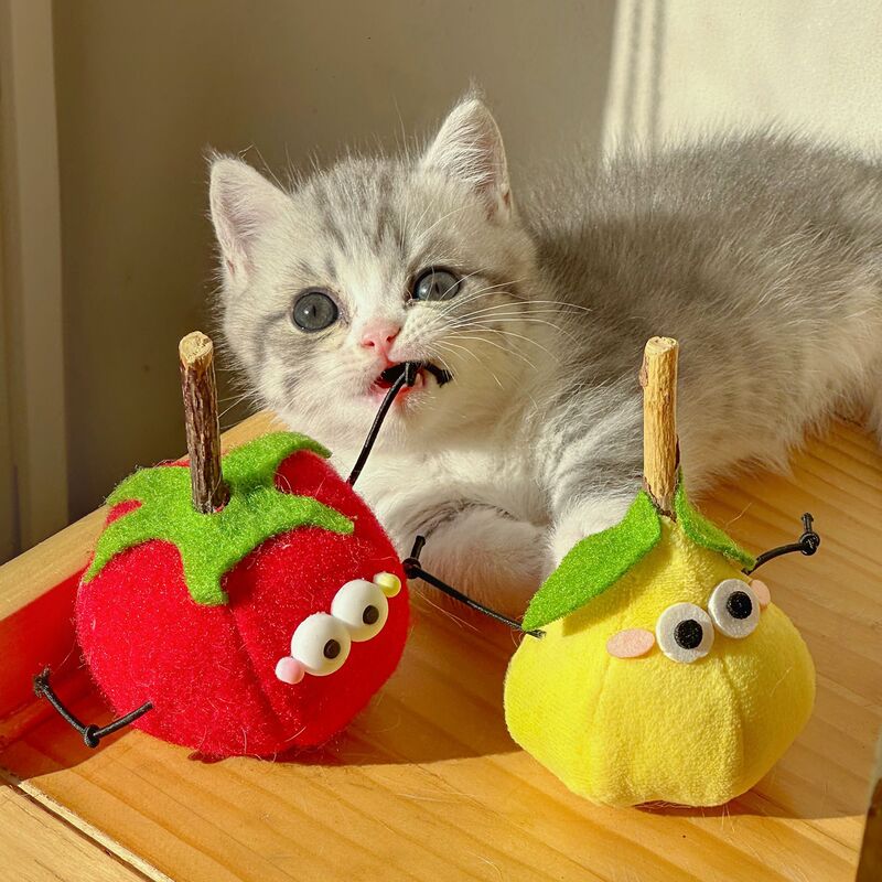 New Cute Tomato Beauty Pear Wood Fruit Toy with Sound Maker Cat Interactive Boredom Relief Toy New Cute Tomato Beauty Pear Wood Fruit Toy with Sound Maker Cat Interactive Boredom Relief Toy