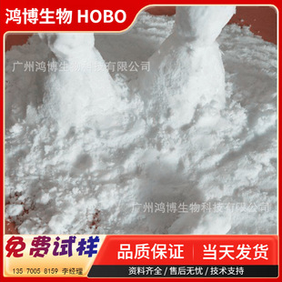 Factory Direct Supply of Simulated Snow Powder, Shopping Mall Playground Set Experience, Room Temperature Fake Snow Powder, Easy to Shape and Not Cold Hands