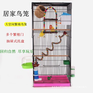 �B�\�Ӵ�̖��Ƥ�W�^�\���P���˸�ĵ�����B���A���ͷ�ֳ�B�e���\