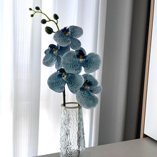 3DӡzƬ5/6^ָкmɫ滨pݼҾӻcbƷٻ