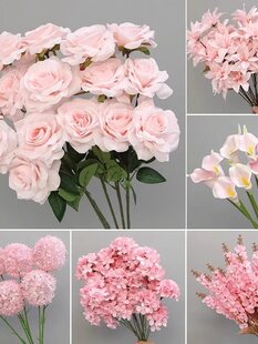 ��ɫ����c���üٻ��b��Ľ�����Y��ˇ�ٻ���픻�
