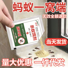 蚂蚁药灭蚁清驱防蚂蚁药粉连环杀蚁饵剂家用室内外厨房批发代发5g