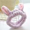토끼 귀 타로 퍼플 # C0C5N #
