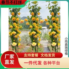 һ�����l�ٱ��¼������ش󻨝���ͥԺֲ���҃Ȼ�������õ�������N