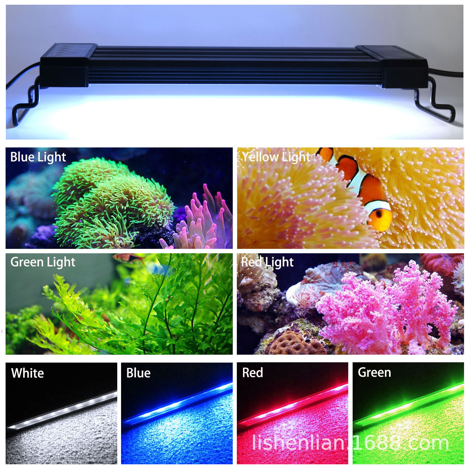 led��׵�led�쾰��������С�ͽ��ܸ���ˮ������ˮˮ�ݵ�