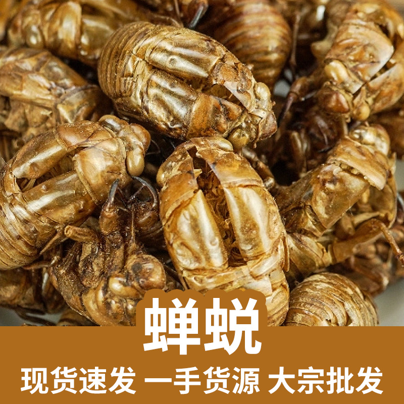 Cicada Slough Chan Tui 500g Dried Whole Shells Traditional Chinese Herb for Decoction key features