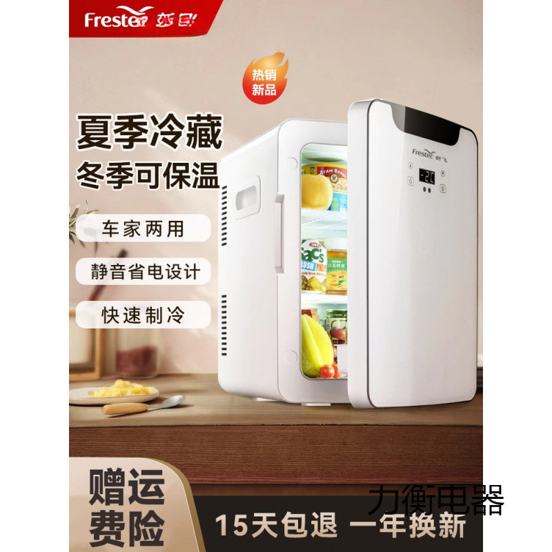 热卖新飞迷你小冰箱小型一人车载冰箱学生宿舍家用小冰柜2025新款|undefined