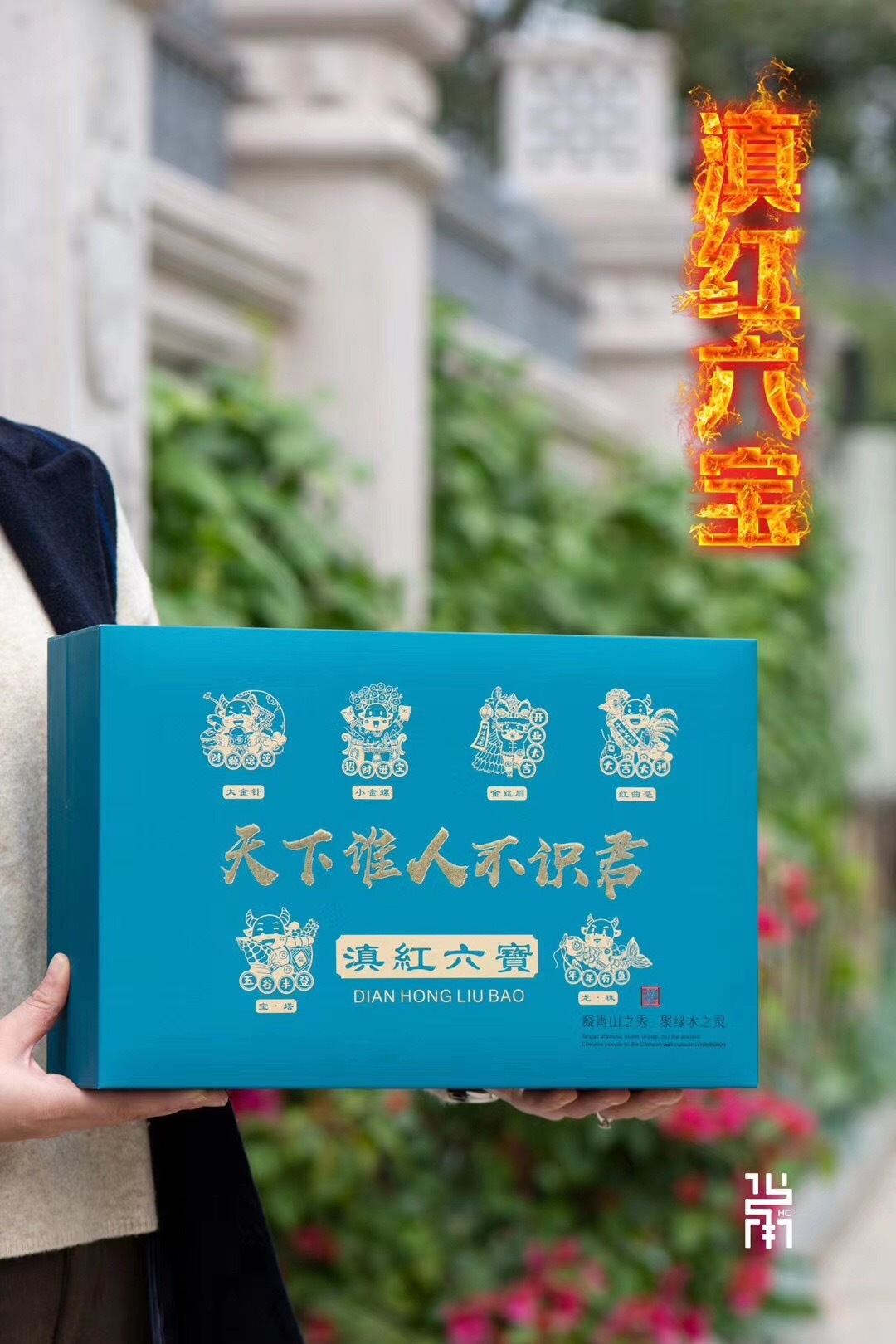 云南红茶瑰宝 滇红六宝 一斤装 茶叶散装批发 一件代发