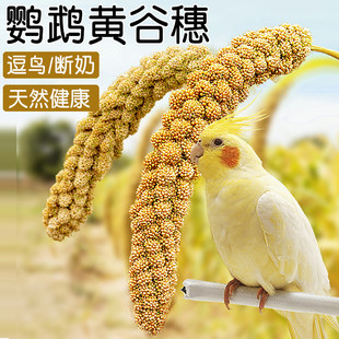 �¹��������С�����S������Ȼ�����W�^�}���󶺰����]�W�^ʳ��