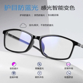 框架眼镜;太阳镜;老花镜