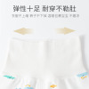 Children's thermal underwear suitable for men and women girl's, overall, cotton set