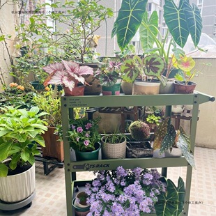 �\����܇ʽ���I�L���Ӷ๦�܎�݆����܇��������ܿ��Ƅ�������܇