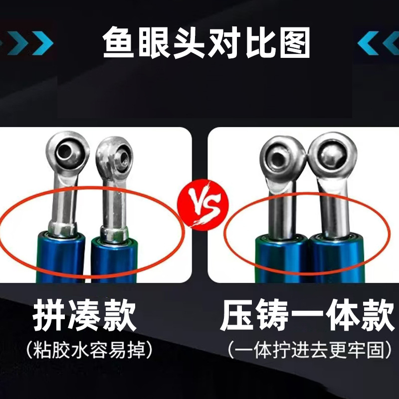 다른 물고기 눈 머리 비교 차트