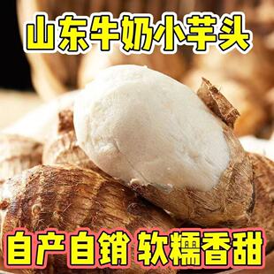 ɽ�|�������^�������^ţ��С���^�F�����r�����߲������^Сë���^