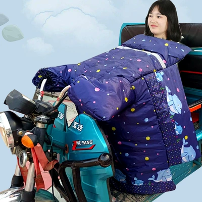 Windproof and Warm Tricycle Windshield — Motorcycle front windshield