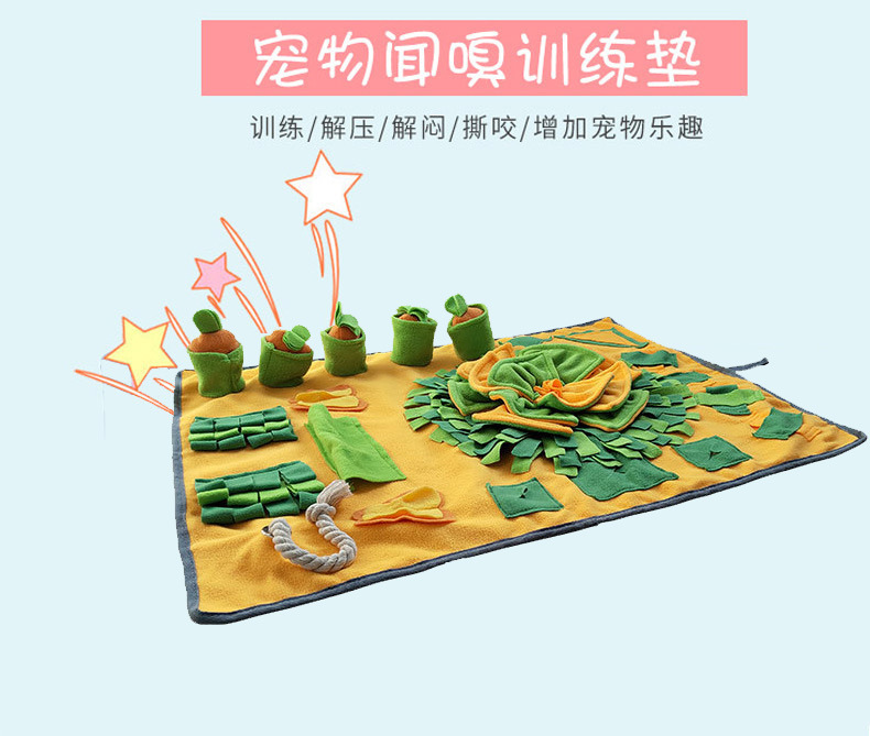 亚马逊新品.jpg