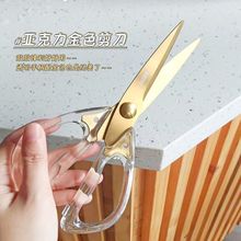 厨房家用剪刀亚克力剪子高颜值透明剪子不锈钢宝宝辅食剪刀