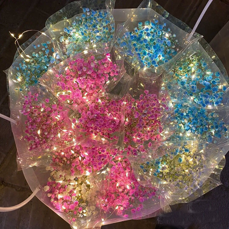 O1CN01QWfxmf1b0cUtJQWz7_!!2010