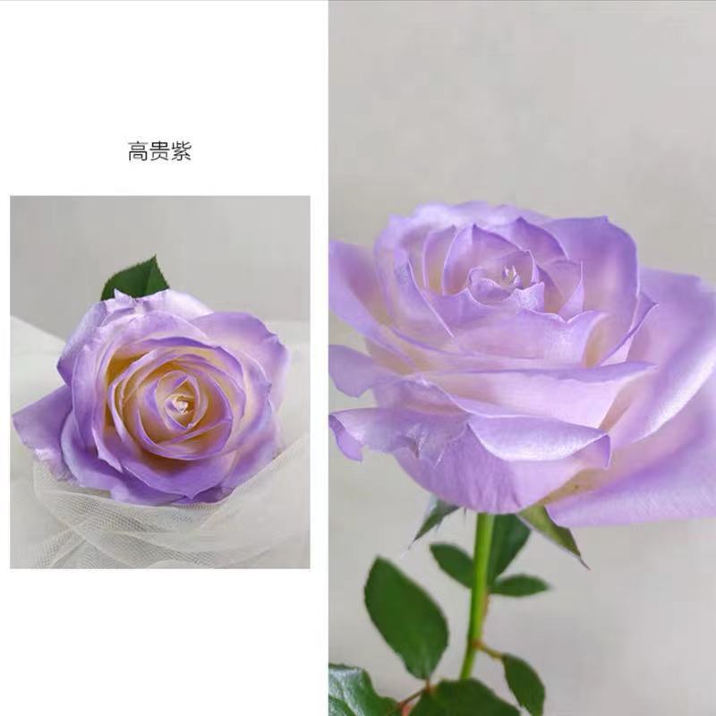 Internet celebridad ciruela negro rosa púrpura flores autopintadas agente de pulverización de color tinte floral spray colorante