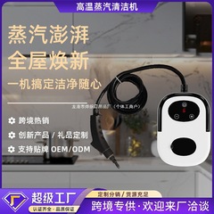 跨境液晶款多功能油烟机高压高温蒸汽清洁机手提家用消毒 一体机