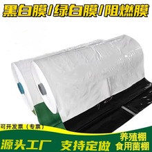 ӺڰĤBĤطĤʳþBֳBuGĤĤ