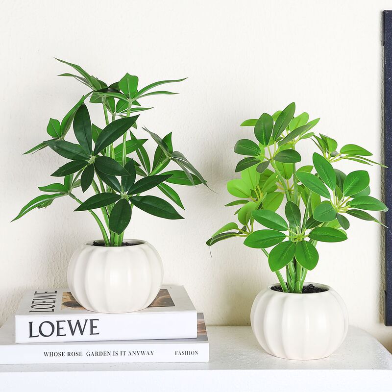 Cross-border Ceramic Simulation Plant Floor Decoration Potted Living Room Home Furnishings Indoor Green Plants Fake Bonsai Ornaments Cross-border Ceramic Simulation Plant Floor Decoration Potted Living Room Home Furnishings Indoor Green Plants Fake Bonsai Ornaments