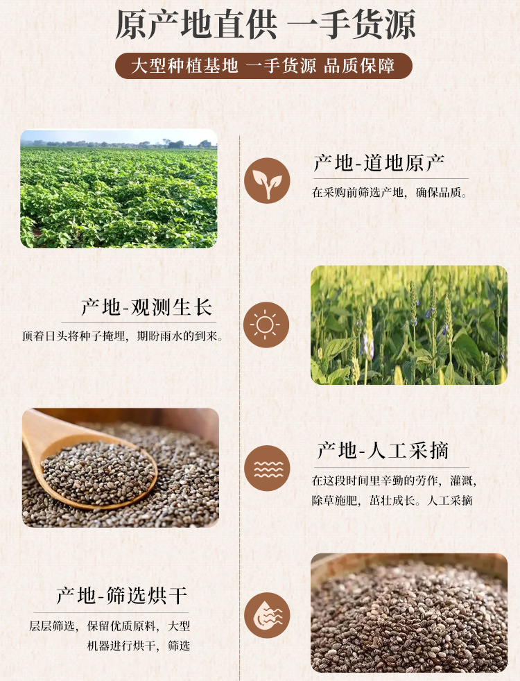 Chia Seeds Bulk Ready to Eat Fiber Rich Grain Alternative 500g quality and texture