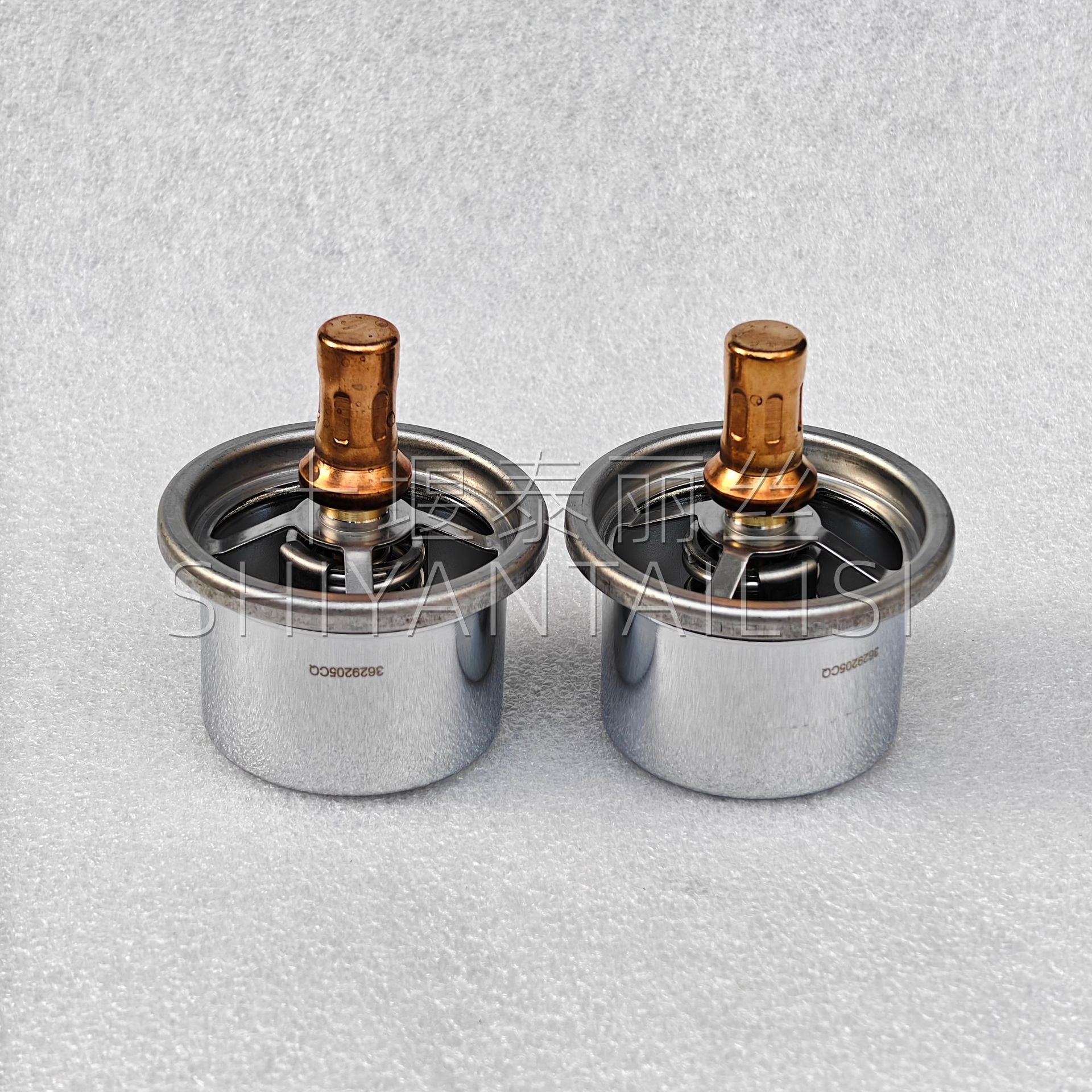 3629205 5538724 Thermostat Suitable for Cummins K Series Engine Thermostat