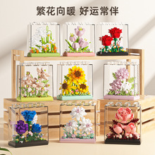 �羳�ɯB�ŷeľ�������b������ƴ�b�����mչʾ��Ů�������bY��