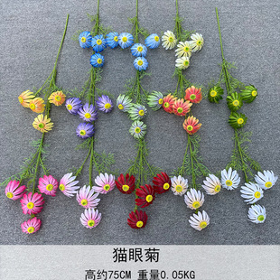 ���滨��c�û� 4�^؈�۾��¿�ĸ߷��� ̫ꖾ� �ٻ���c���Ż�