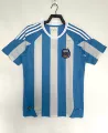 2010 argentina home game