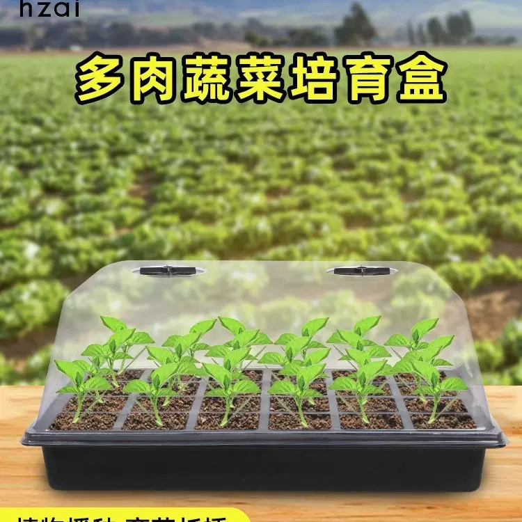 工厂定制育苗盆 高盖24孔蔬菜基地种植秧盘播种植物育苗盆 定制