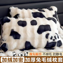 ��ë�q����һ���b�����ӽq�Ӻ�ţ�̽q���^��ɺ���q��о��đ�׆΂�